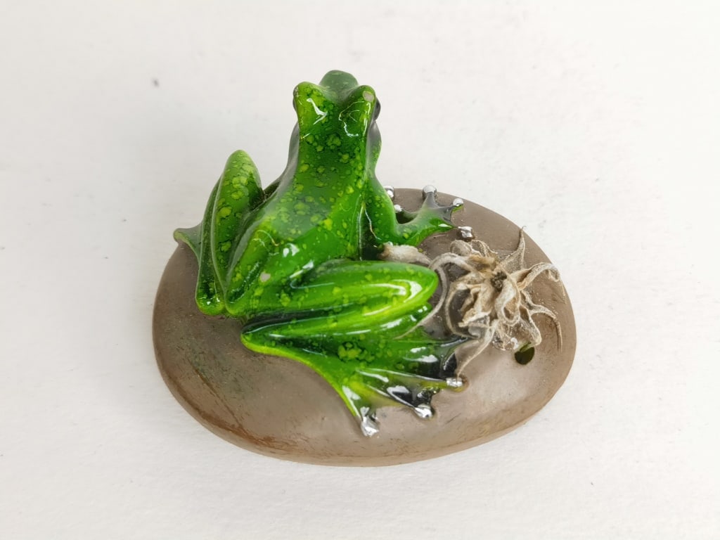 Novelty Rainforest Frog - 3