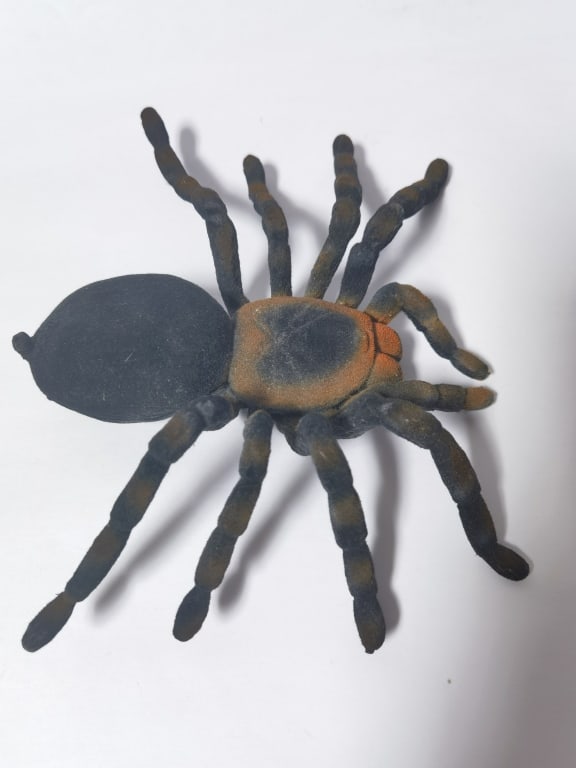Spider Decor - 3