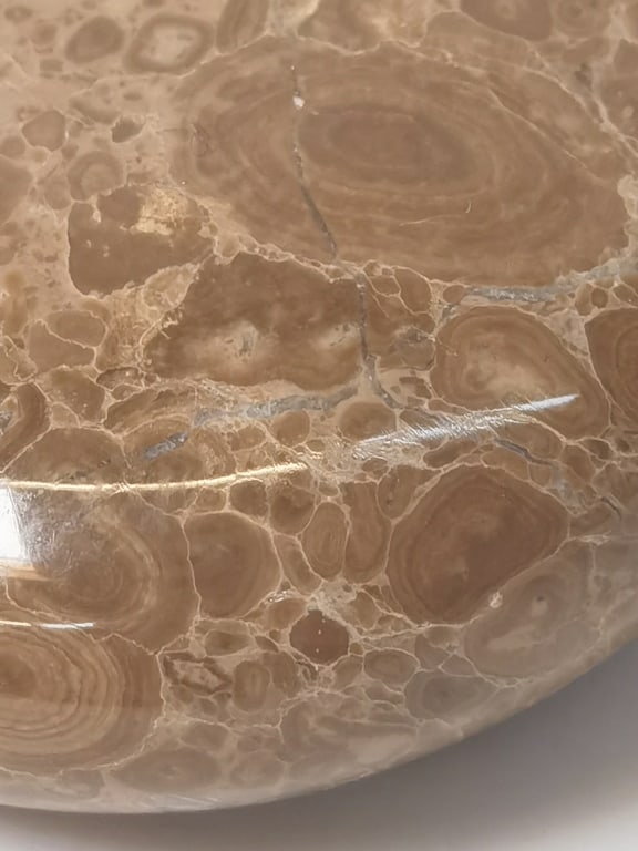 Birdseye Marble Carved Bear - 4