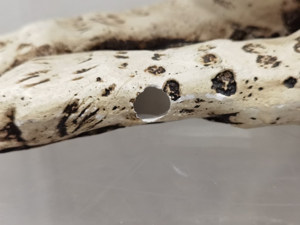 Large Signed Charlotte Plaster Leopard Sculpture - 6