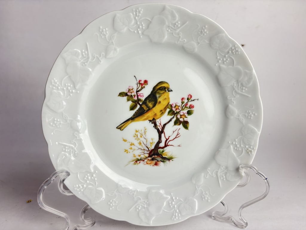Vintage Lierre Sauvage CNP France Porcelain Bird P: Vintage Lierre Sauvage CNP France Porcelain Bird Plate, 8in
