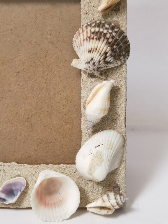 Sea Shell Decorated Photo Frame - 2