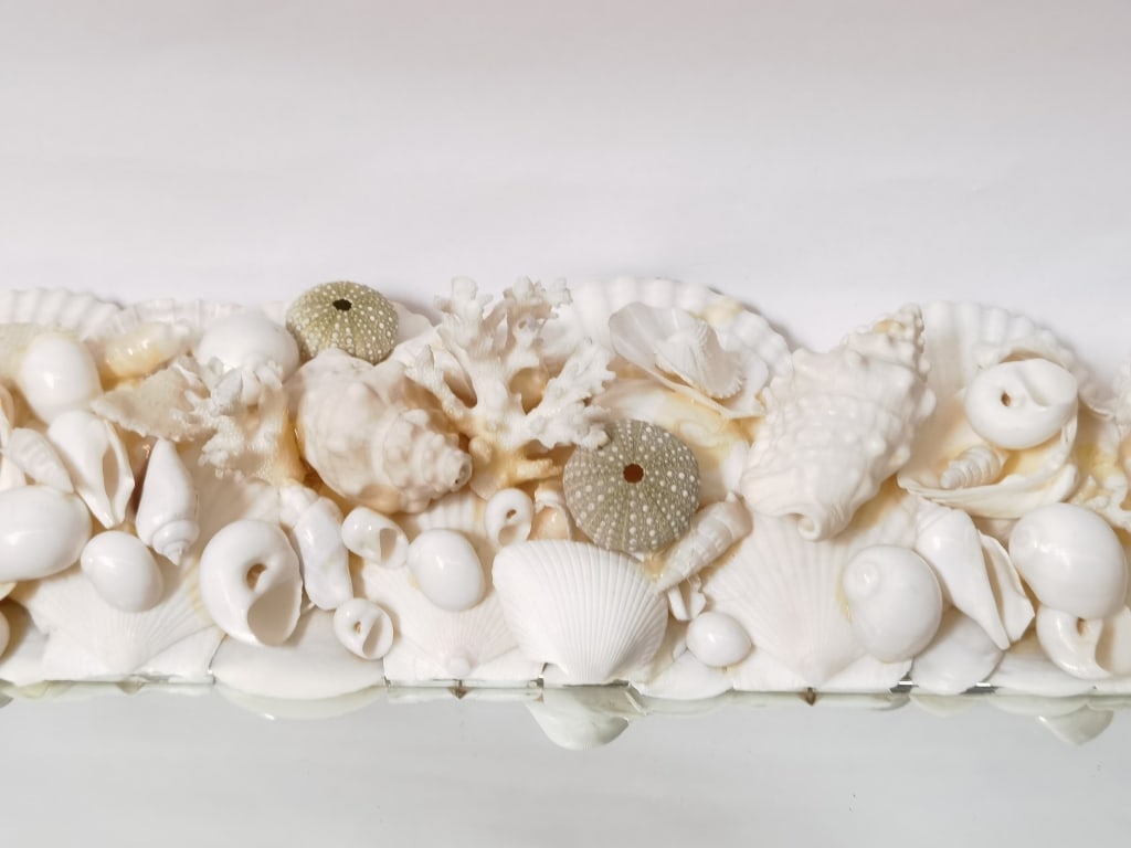 Sea Shell Frame Wall Mirror - 4