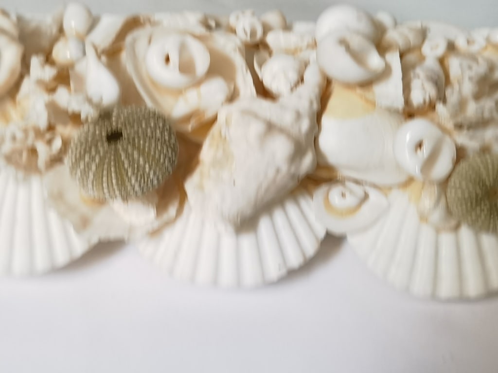 Sea Shell Frame Wall Mirror - 5