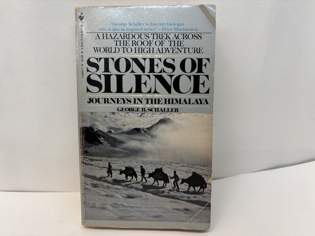 1980 Stones of Silence: 1980 Stones of Silence, 7in