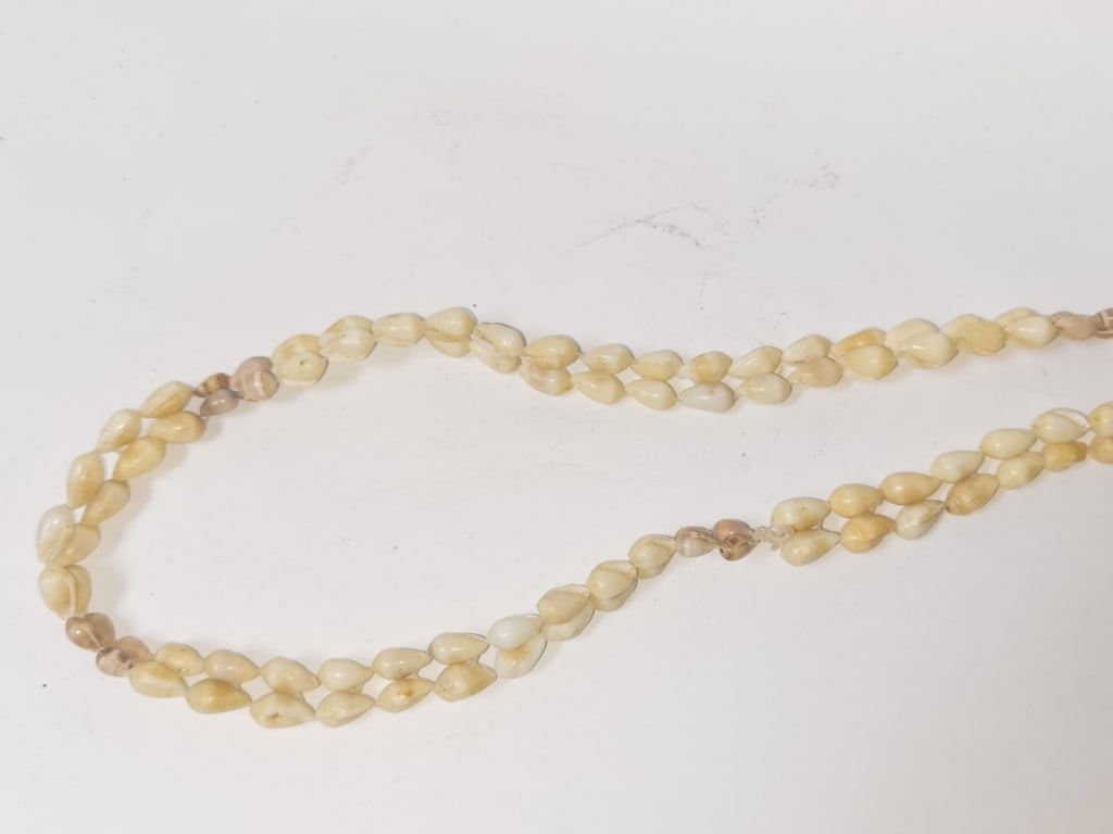 Sea Shell Necklace - 2