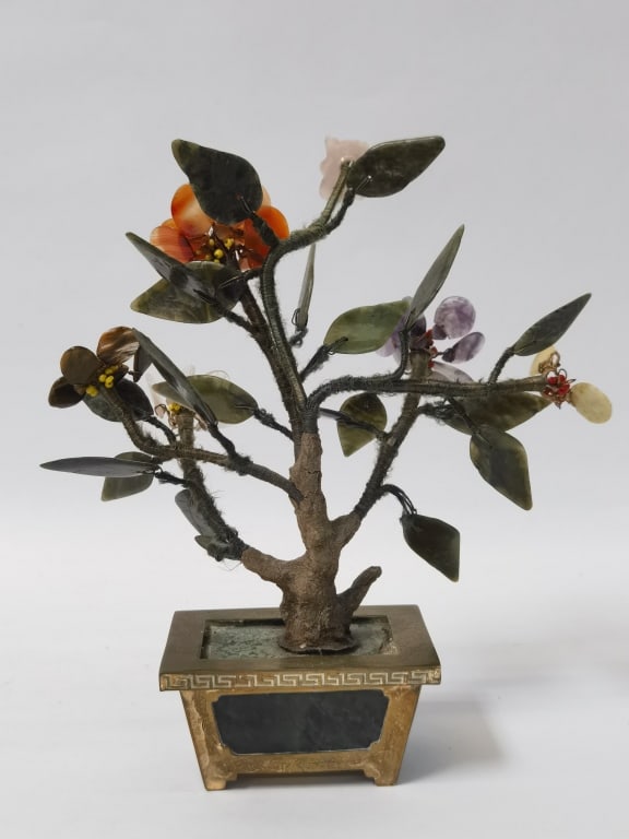 Chinese Jade Tree - 3