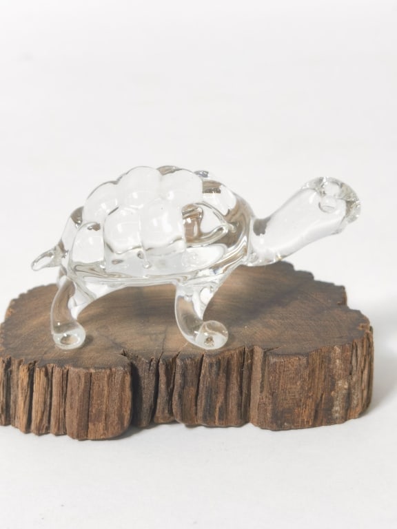 Crystal Turtle - 2