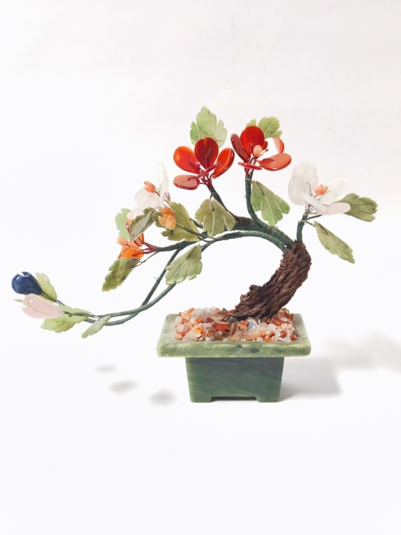 Chinese Jade Tree (1 of 3)