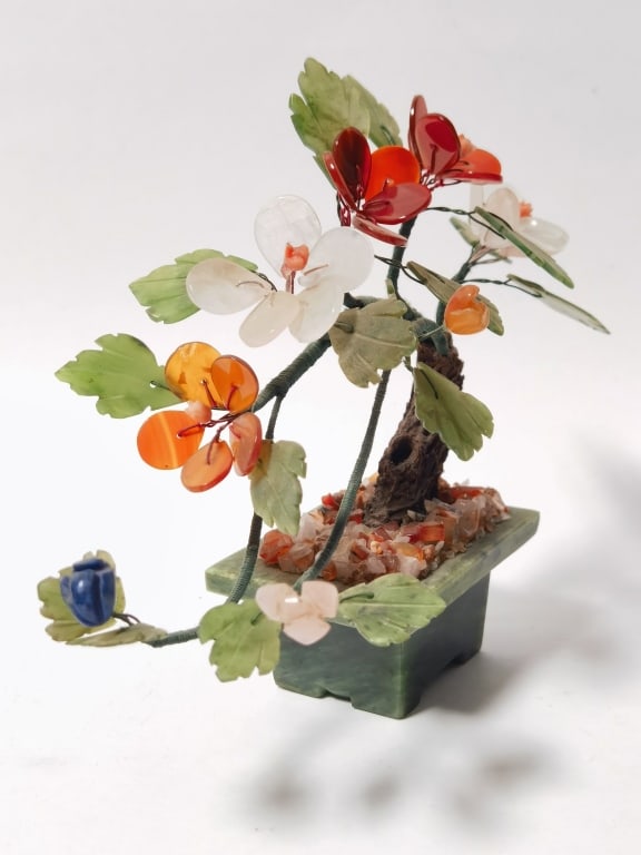 Chinese Jade Tree - 2