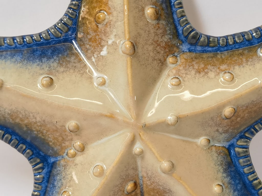 Decorative Ceramic Starfish Plaque - 2