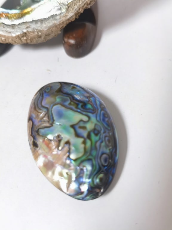 Polished Abalone Shell and Cabochon - 2
