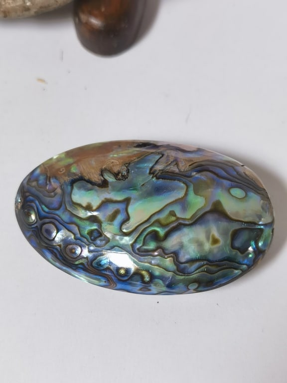 Polished Abalone Shell and Cabochon - 3