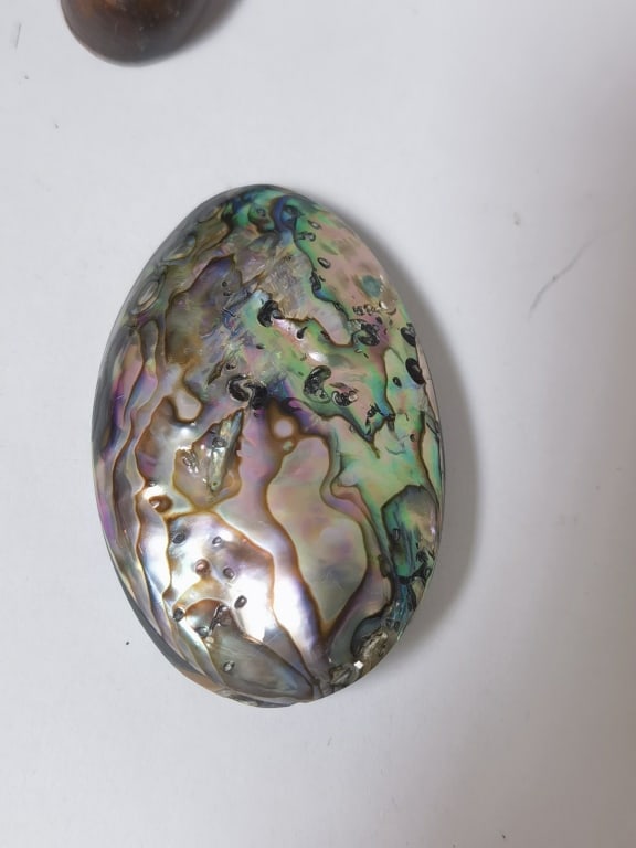 Polished Abalone Shell and Cabochon - 4