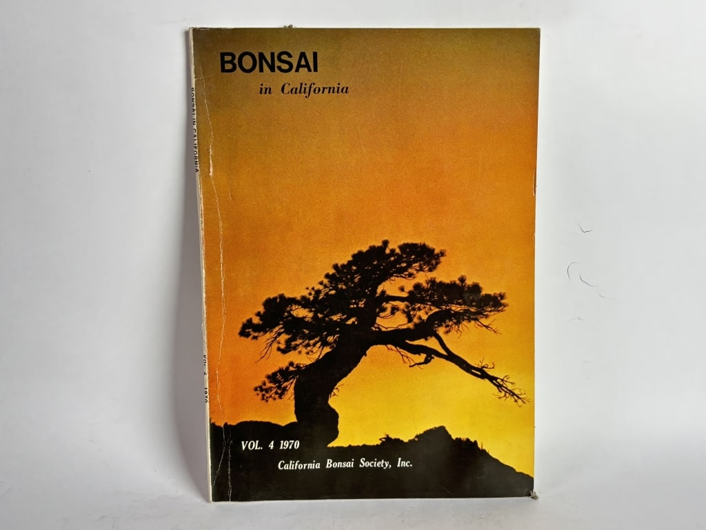1970 Bonsai in California: 1970 Bonsai in California, 10 1/8in