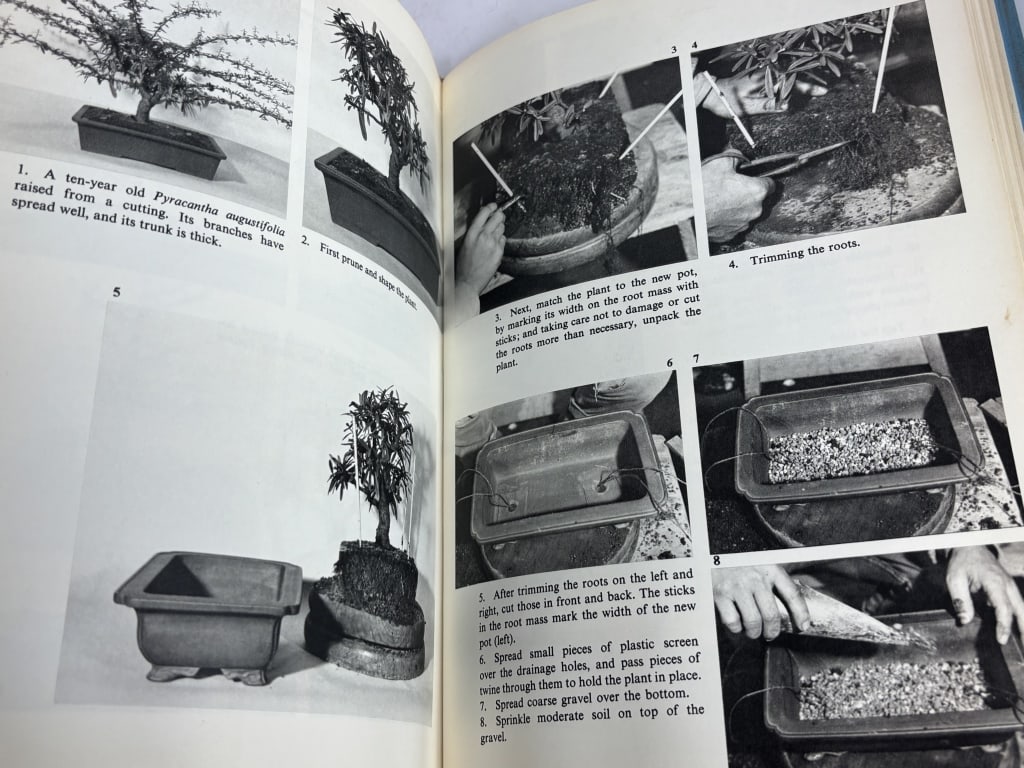 1969 Bonsai for Pleasure - 7