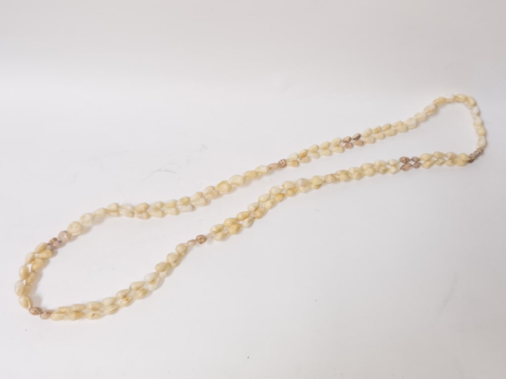 Sea Shell Necklace: Sea Shell Necklace, 24in D