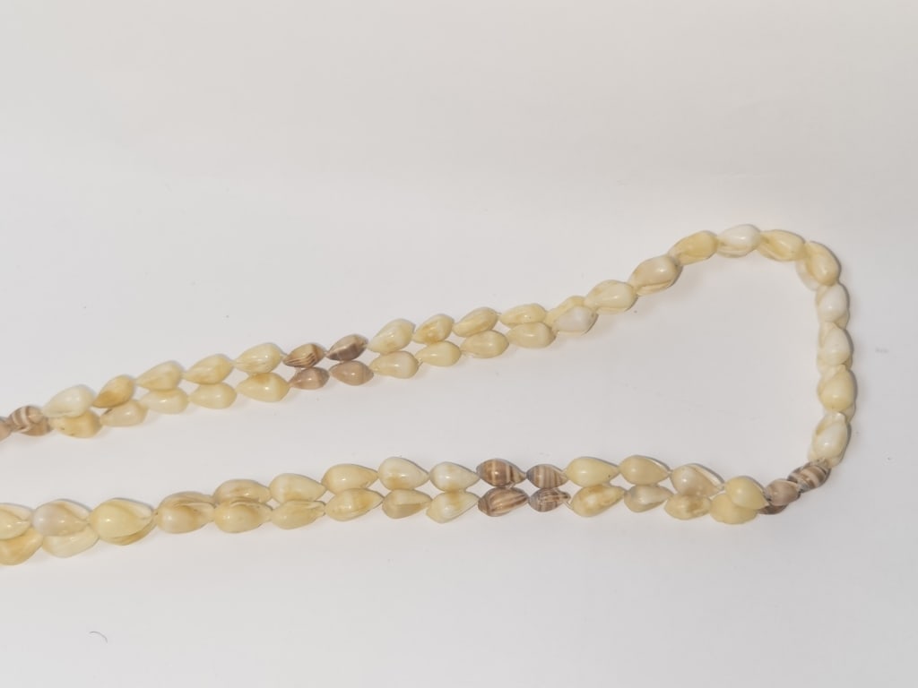 Sea Shell Necklace - 3