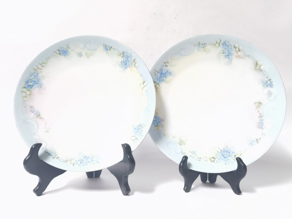 (2) Thomas Bavaria Hand-Painted Blue Floral Plates (1 of 4)