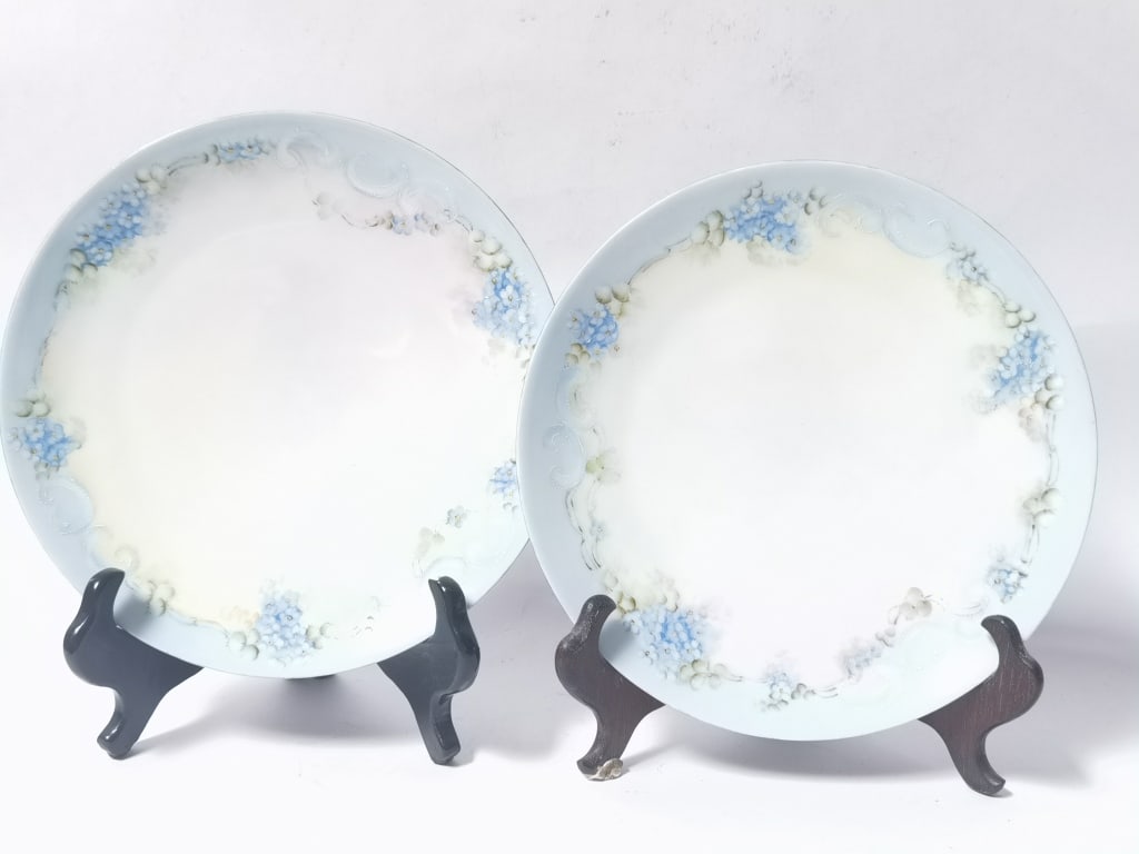 (2) Thomas Bavaria Hand-Painted Blue Floral Plates: (2) Thomas Bavaria Hand-Painted Blue Floral Plates, 8.5in