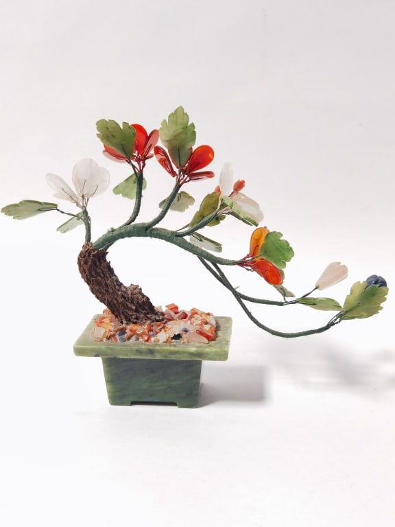 Chinese Jade Tree - 3