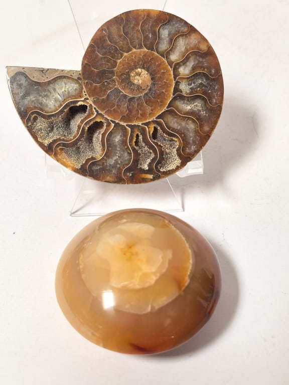 Half-Ammonite Fossil and Polished Carnelian Specim (1 of 4)
