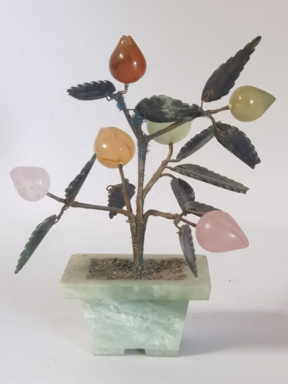 Chinese Jade Tree - 2