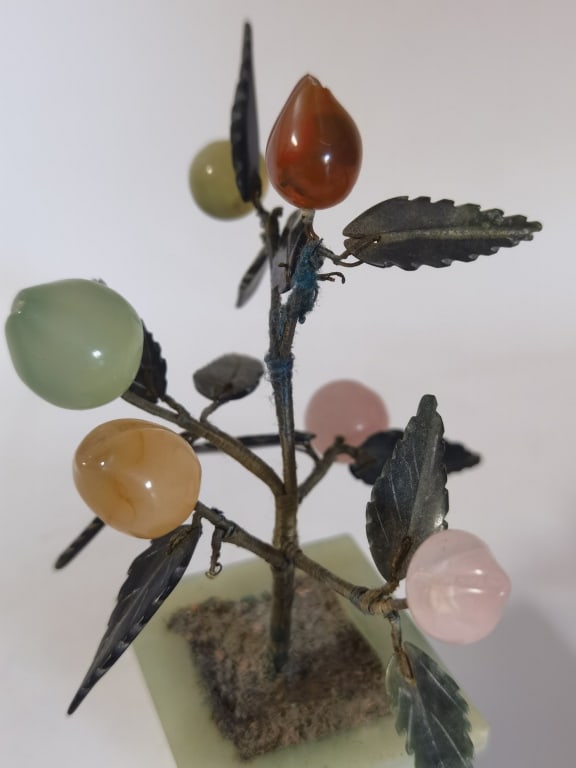 Chinese Jade Tree - 3
