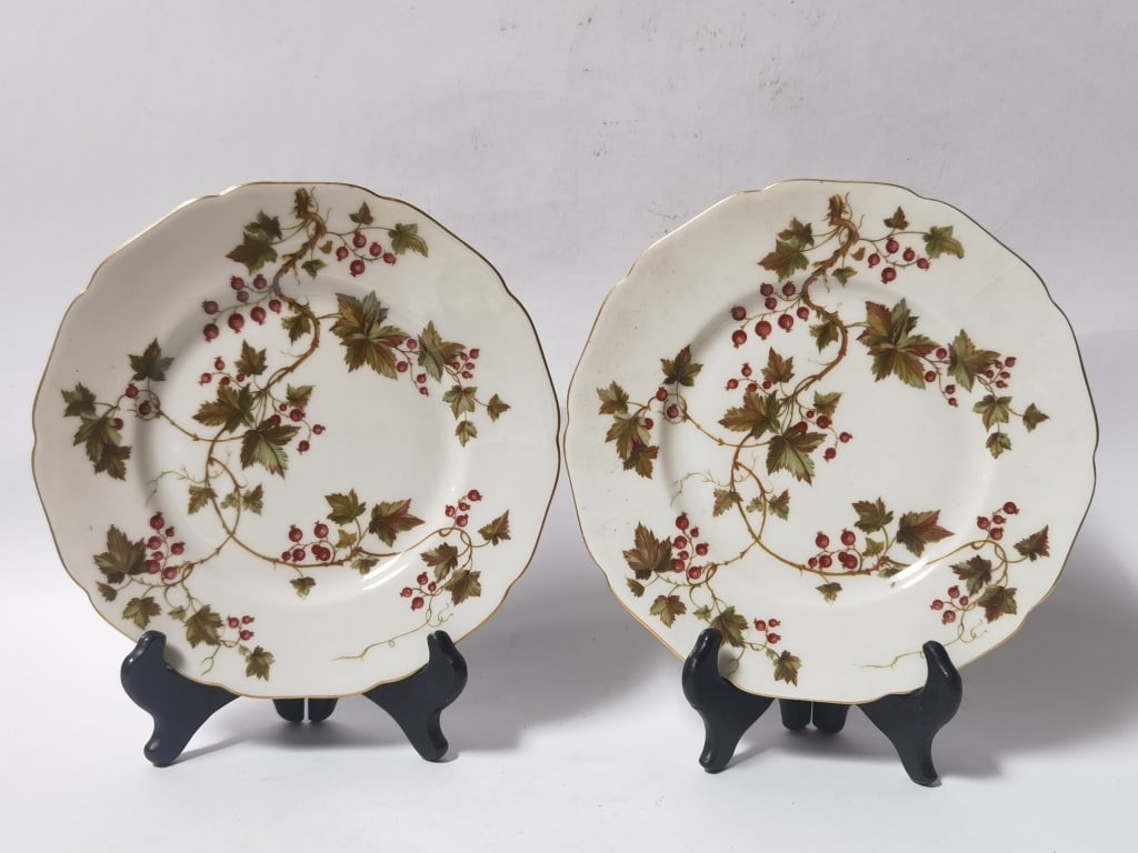 (2) Royal York Germany Summer Vine Plates (1 of 5)