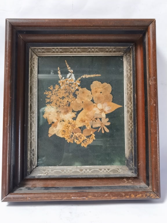 Victorian Style Pressed Botanical Specimen in Wal: Victorian Style Pressed Botanical Specimen in Walnut Shadowbox Frame, 14in by 12in