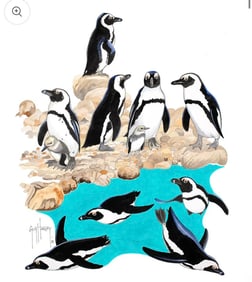 African Penguins