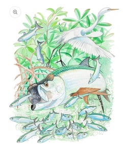 Tarpon and Egret