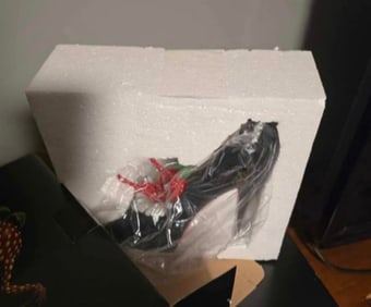 Michael Godard,  Champagne Shoe