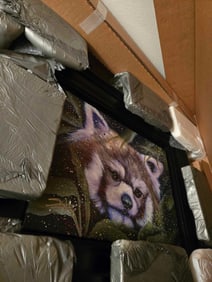 Fishwick  Hide and Seek