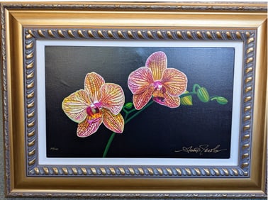Scott Jacobs  Phalaenopsis