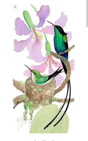 Bauhinia Nest