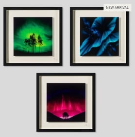 Set of 3 Far From Home,Forever Sycamore, and Falling Like the Stars