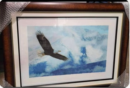 Wings Over Glacier Bay