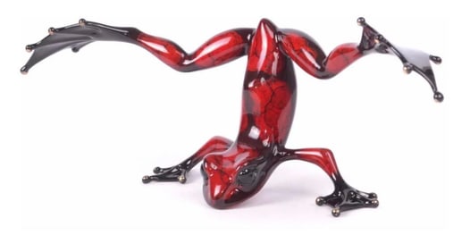 Frogman - Tim Cotterill Joker