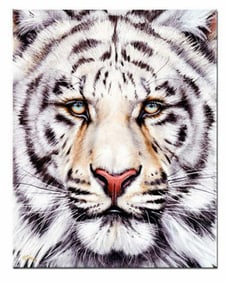 Martin Katon "Bengal"