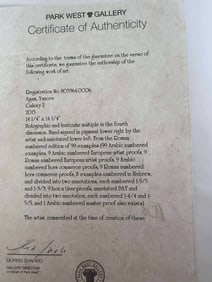 Yaacov Agam Galaxy 2