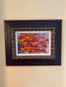 Marko Mavrovich Smooth Poppy