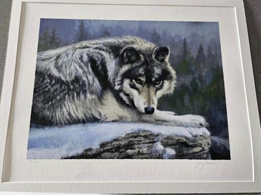 Eyes if the Wilderness