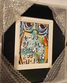 David Le Batard (Lebo) A Light Shines Through