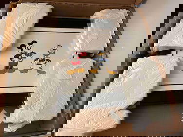 mickey and donald  Mickey's Amature