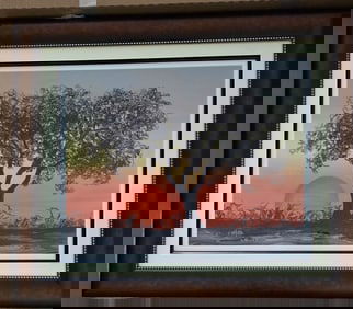 david Najar  Muted Glow