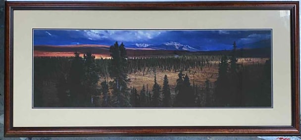 Thomas Mangelsen  Season Passing