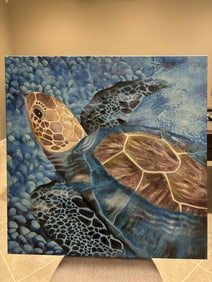 Carolyn Steel turtle