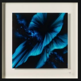 Falling Like the Star