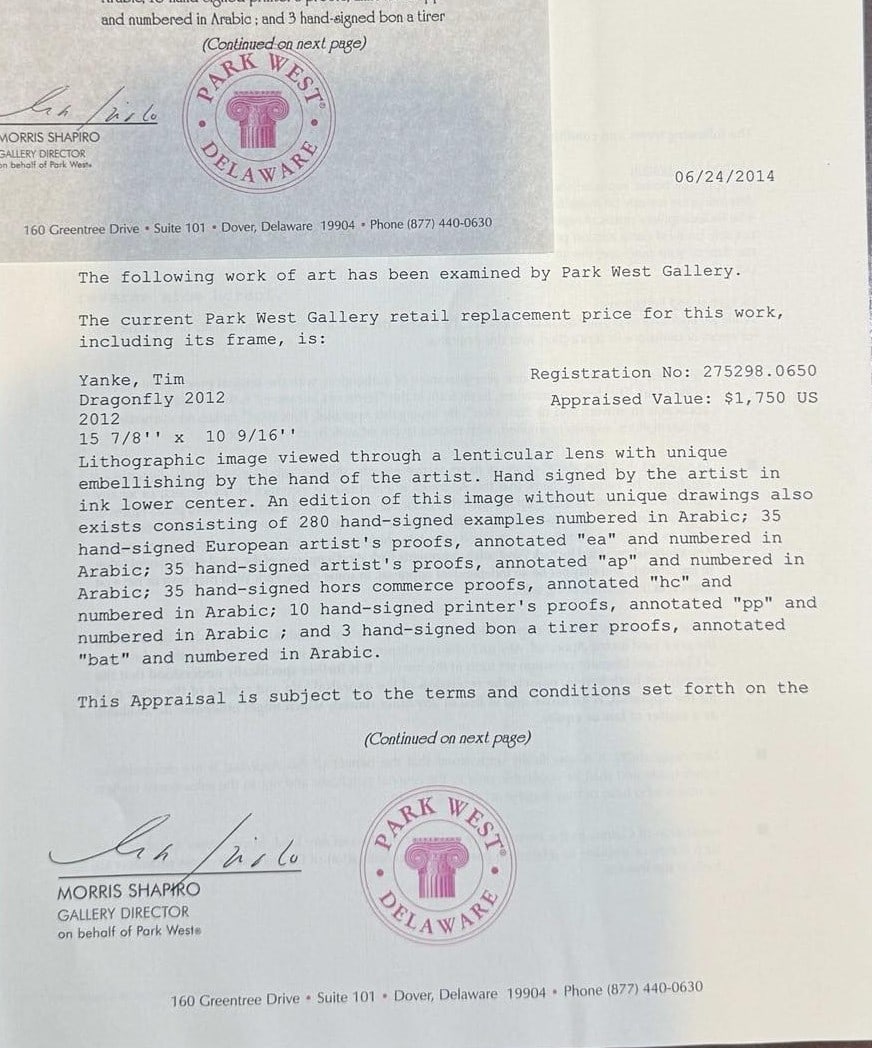 Tim Yanke Dragonfly 2012 - 3